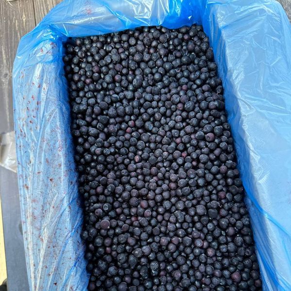 Frozen Wild Blueberry from 리투아니아 supplied by VictoryVentures  - A등급 냉동 블루베리