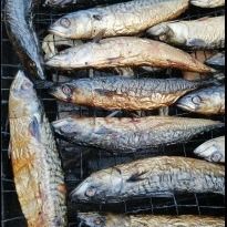 Salmons from Ghana supplied by PRIBOFO ENTERPRISE - Organic Dried Fish Snacks