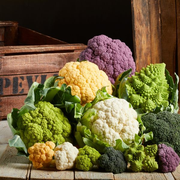 BRASSICAS AND BRASSICA FLORETS from 이탈리아 supplied by PEVIANI SPA - 신선 콜리플라워