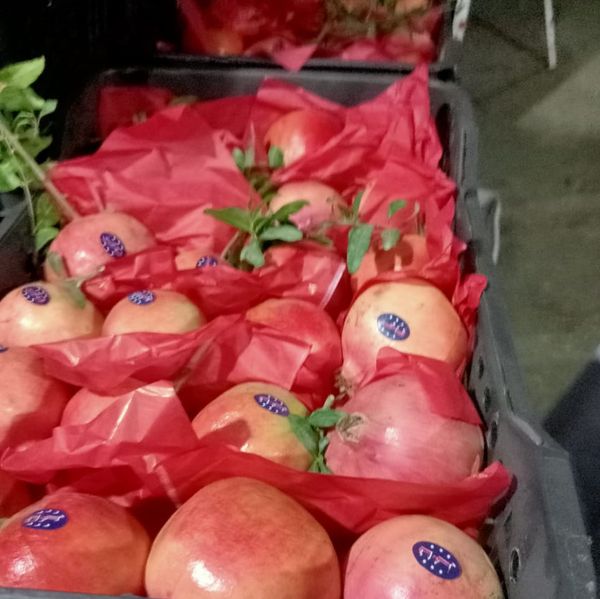 pomegranate from 이집트 supplied by KHE Logistics - No. 2 신선 석류