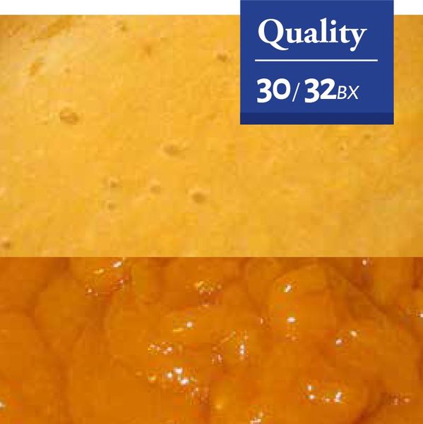 Peach/Apricot Puree from 아르헨티나 supplied by QUELLE TRADE, import export d.o.o - 기타 페이스트 및 퓨레