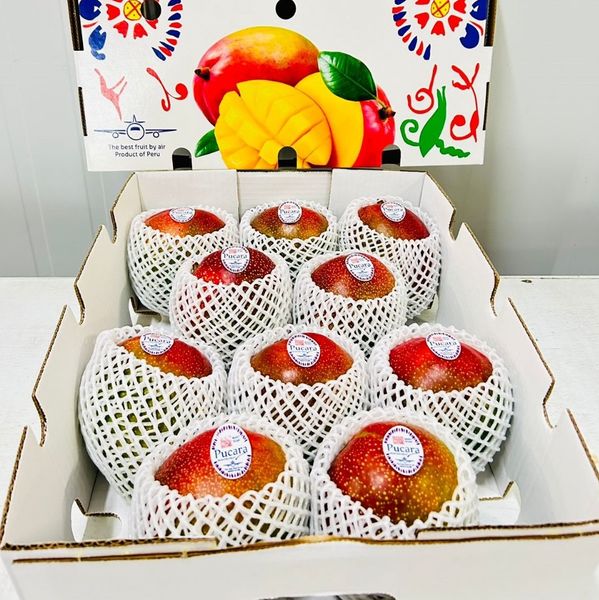 mango from 페루 supplied by Kodra-Export - 긴 타원형 신선 망고