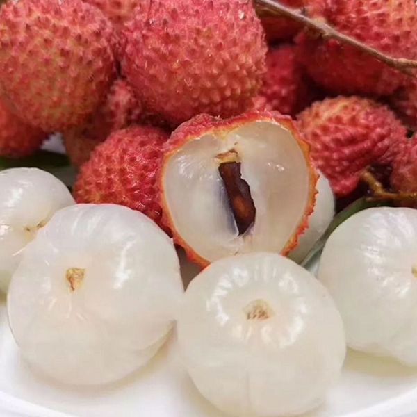 Fresh Lychee from 베트남 supplied by NAM VAN LONG CO.,LTD. HCM CITY, VIET NAM - Chom Pogo (=Chom-Pogo=Chompogo) 신선 리치