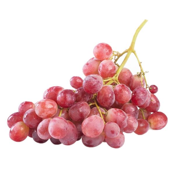 Organic Fresh Grapes from 중국 supplied by Porcosta, LDA - 보랏빛 빨강 신선 포도
