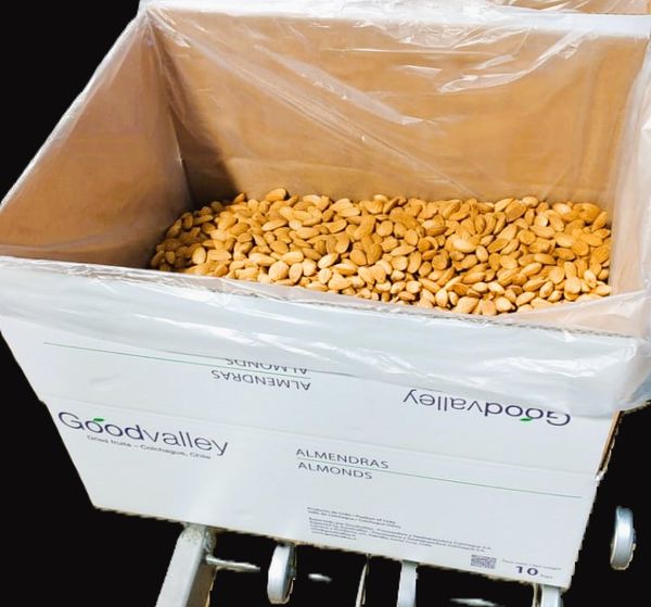 Almonds from Chile supplied by Goodvalley - Caliber 27/30 Almond Kernel