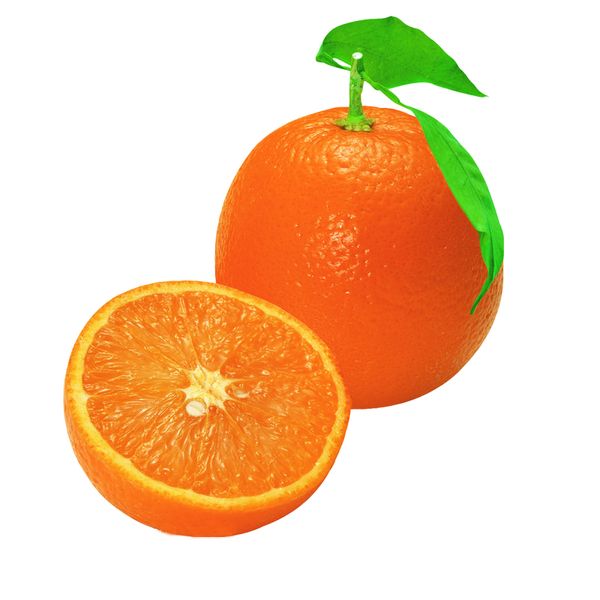 Navel and Valencia Oranges From South Africa from 남아프리카공화국 supplied by Pro Fresh SA - 크기: 48-50 신선 오렌지