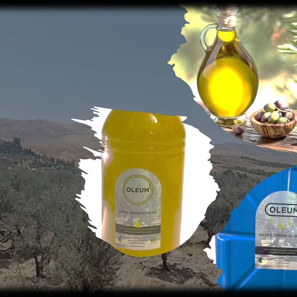 Extra virgin Olive oil from 레바논 supplied by Terre Verte - Acidity Rate: ≤0.3% (=Up to 0.3%) 올리브유