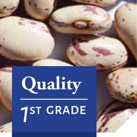 Cranberry Beans from 아르헨티나 supplied by QUELLE TRADE, import export d.o.o - Class 1 흰콩