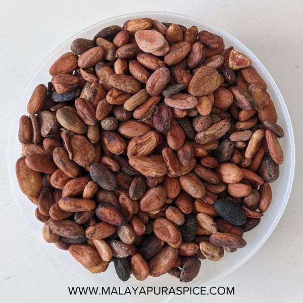Cacao Beans from Indonesia supplied by Malayapura spice group - 2 cm Cocoa Bean