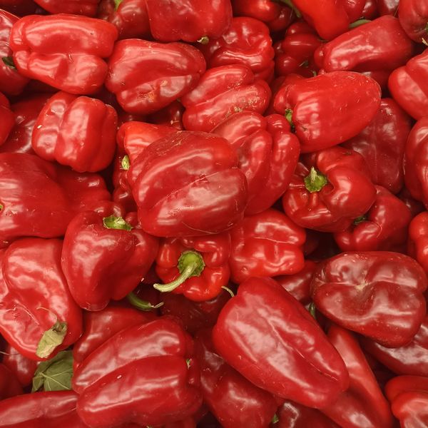 Red Pepper from 포르투갈 supplied by Hortícolas Casal d'Avó, Lda. - Extra Quality - Very Good 기타 피망