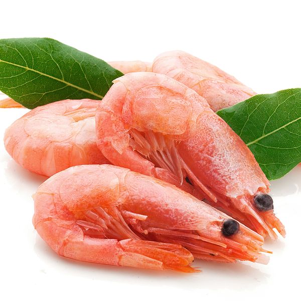 Cold water prawns from 노르웨이 supplied by Golden Atlantic - 북해 새우 냉동 냉수성 새우