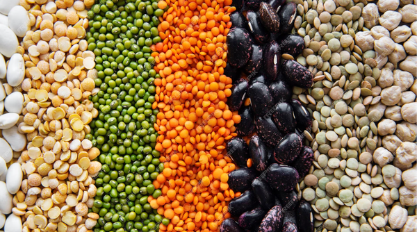 Soybeans,  Red, white and black Kidney Beans from 탄자니아 supplied by JMSG GROUP SL - White 기타 콩류