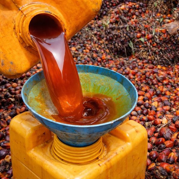 Palm Oil from Nigeria supplied by BigGrin Global Resources - Non-GMO Palm Oil Fruit