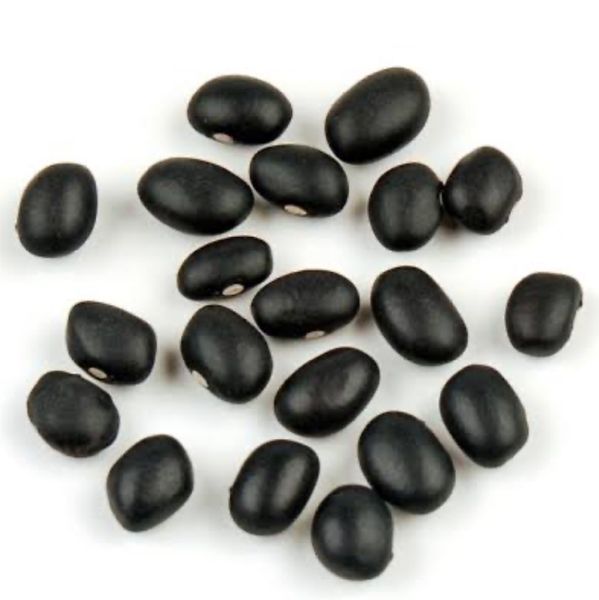Black beans from 브라질 supplied by Sigma Green - Raw (=Natural) 블랙빈