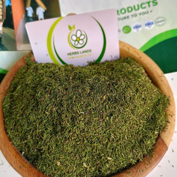 dill from 이집트 supplied by herbslands - Unspecified 딜