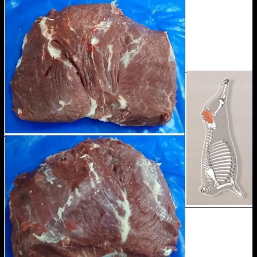 CORAZÓN DE CUADRIL / EYE OF RUMP from 아르헨티나 supplied by Expandam - Boneless  (=Without Bone=Deboned) 신선 소고기(뼈 없음)