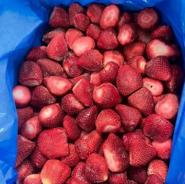 FROZEN  fruits and  vegetables from 이집트 supplied by TRADZONE FOR EXPORY & SUPPLIES - High Quality 기타 냉동 과일
