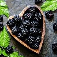 Blackberry from 남아프리카공화국 supplied by Valley View Estate (Pty) Ltd - Raw 신선 블랙베리