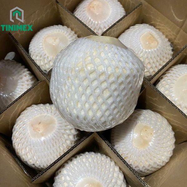 Diamond Shape Coconut from 베트남 supplied by Tinimex Co LTD - Sweet Young Coconut 기타 신선 코코넛