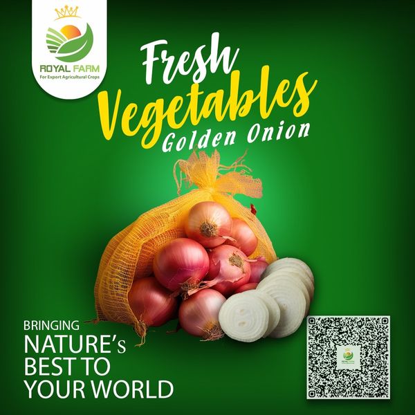 Red & Golden Onions from 이집트 supplied by Royal Farm For Export Agricultural Crops - 60-80mm 신선 양파
