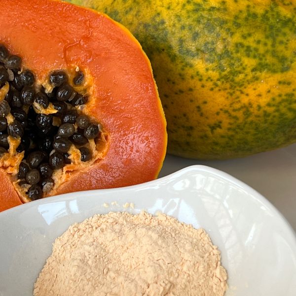 Papaya Powder from Ecuador supplied by DLIP Industrial - SD (Spray Drying) Dried Papaya