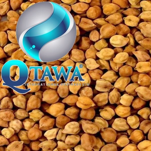 chickpeas from 에티오피아 supplied by QTAWA INTERNATIONAL BUSINESS LIMITED - 세척 말린 병아리콩
