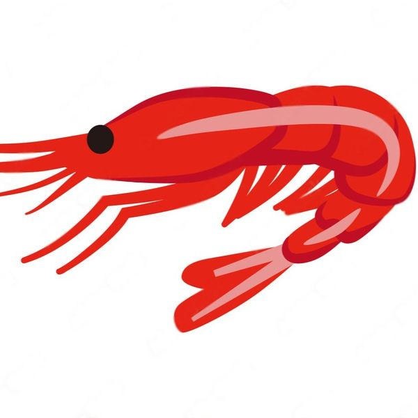 Shrimp from 이란 supplied by fanoos makran - 신선 새우