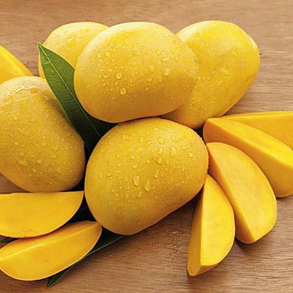 MYANMAR FRESH MANGOES SEIN TA LONE from 미얀마 [버마] supplied by Rosanna Company Limited - Extrema 신선 망고
