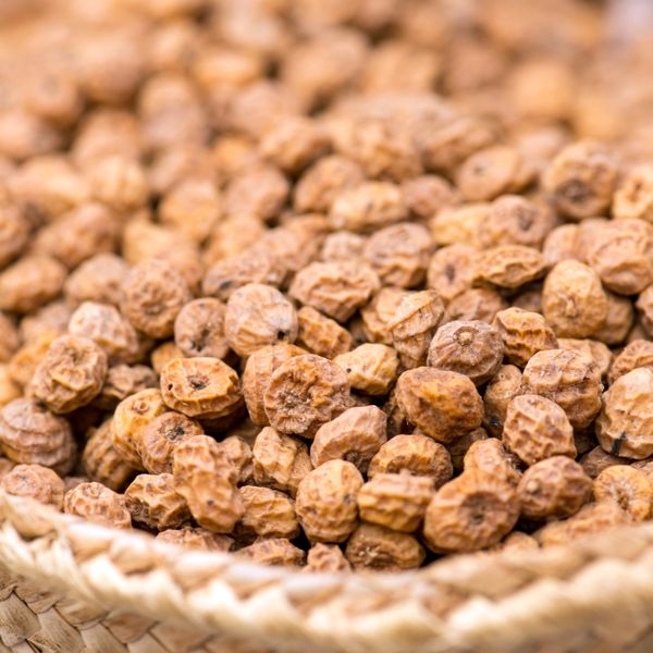 Sun Dried Brown Tiger Nut / Chufa / Cyperus Esculentus from Ghana supplied by Ashanti Nutrition - Excellent Quality Tiger Nut