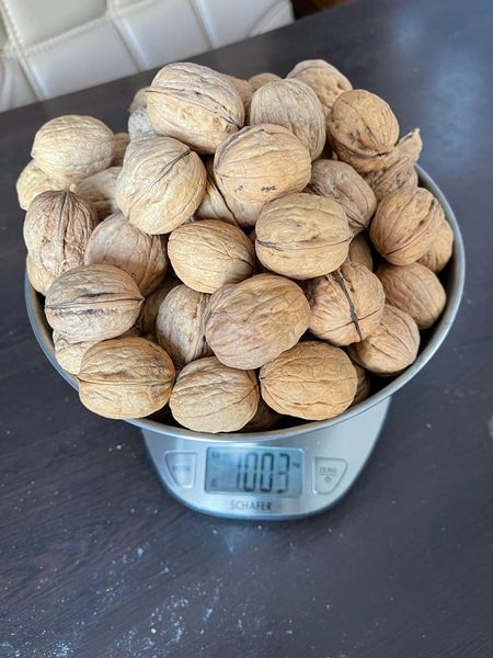 Nueces Con Cascara from 칠레 supplied by Goodvalley - Raw 혼합 견과