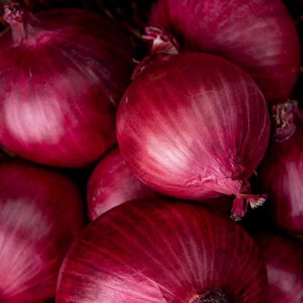 Onion from 인도 supplied by Liberty Exports - Very Good 신선 양파