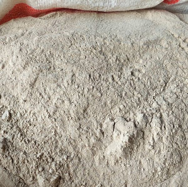 Cassava Flour from 인도네시아 supplied by Fortuna Lancar Sejahtera - Industrial Flour 카사바 가루
