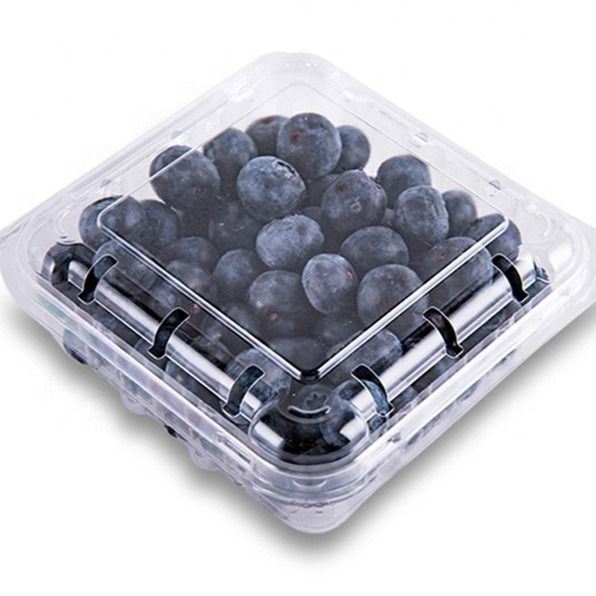 Blueberries 12*125 (12.14.16 mm +) from 폴란드 supplied by AliceGoods - 신선 블루베리