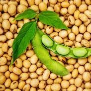 soybeans from 나이지리아 supplied by Dream Vista Global Resources Limited - Whole 수수