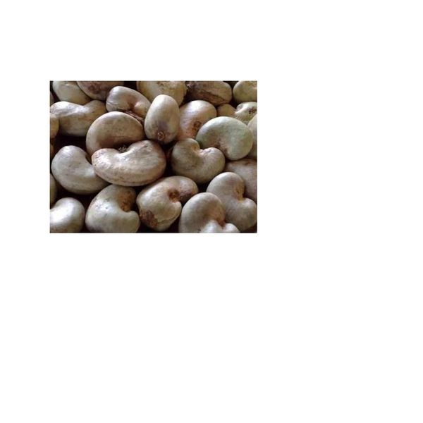 Cashew Nuts from 나이지리아 supplied by Farmland Agro-Allied Project Ltd - 프리미엄 품질 생 캐슈너트