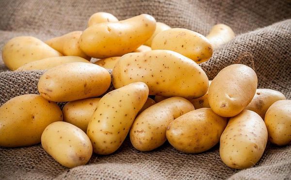 Potato from 파키스탄 supplied by AAR TRADERS - Washed 신선 일반 감자
