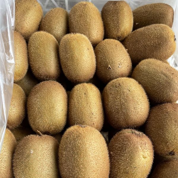 KIWI (Hayward) from 이란 supplied by BEZHIT - 신선 키위