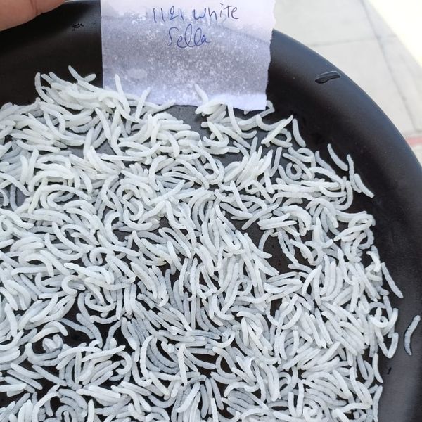 Rice Basmati and Non basmati Long grain, short grain from 인도 supplied by OMSWASTIK EXPORTS - GMO 정미