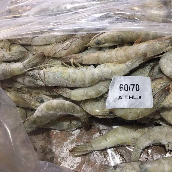 vannamei Shrimp from 이란 supplied by Salamat Mehr Motahar Food industrial Group - Size: 31-40 신선 새우