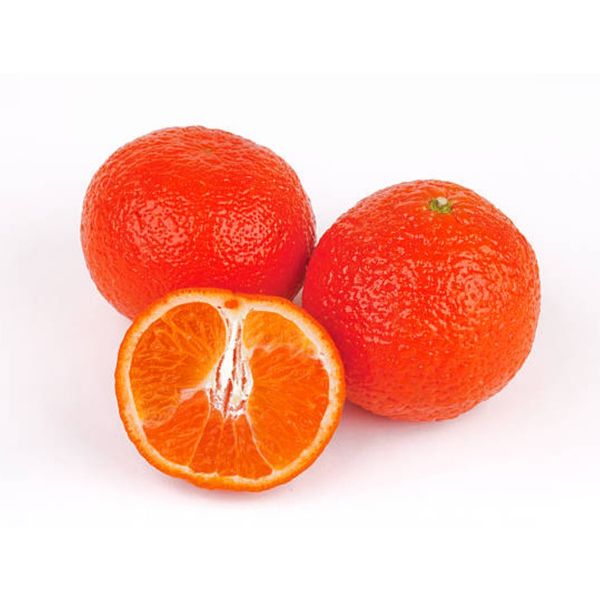 Premium Egyptian Mandarins from 이집트 supplied by PEI Trade - Semi Ripe 신선 만다린