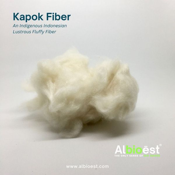 Kapok Fiber from 인도네시아 supplied by PT. Albioest Intiberkah Madani - 기타 상품
