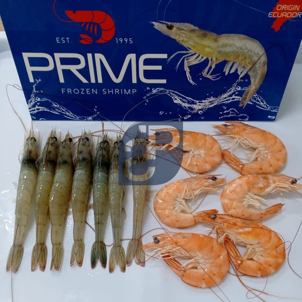 Vannamei Shrimp from Ecuador supplied by Standard & Partners - Size: 40-45 Frozen Common Shrimp & Prawn