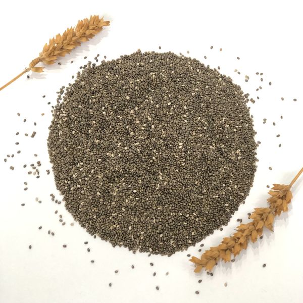 Chia from 볼리비아 supplied by Agropecuaria Chia Corp Bolivia S.a. - Conventional 치아 씨