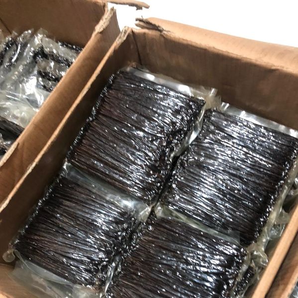 Vanilla Bean from 인도네시아 supplied by PT Kembang Vanila Utama - Half-dry 말린 일반 콩