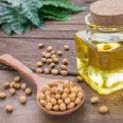 SOYBEAN from 브라질 supplied by Copass ltda - Super Quality 대두