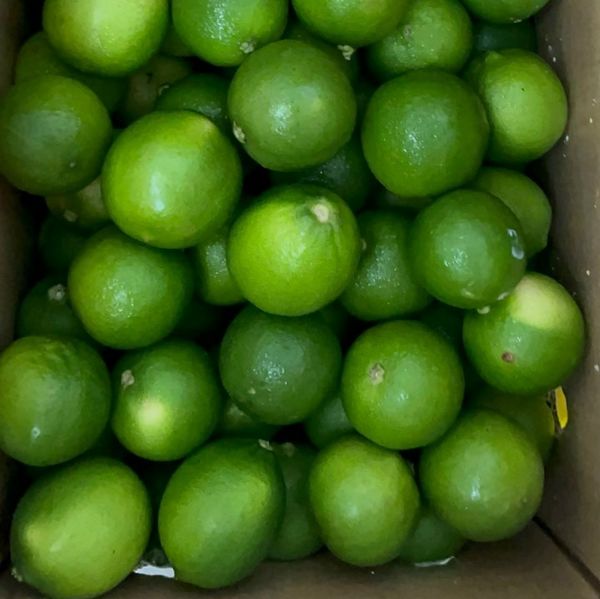 Lime from 베트남 supplied by TTB Import Export Co.,Ltd - 신선 라임