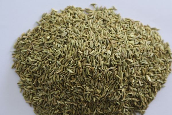 Fennel from India supplied by Annapurna Agro Industries - Unspecified Fennel Seed