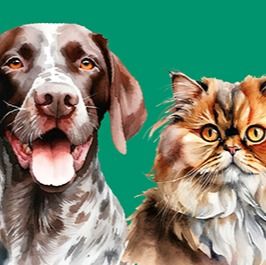 CEBICAN COSMO from Spain supplied by NUGAPE PET FOOD - Fish Oil