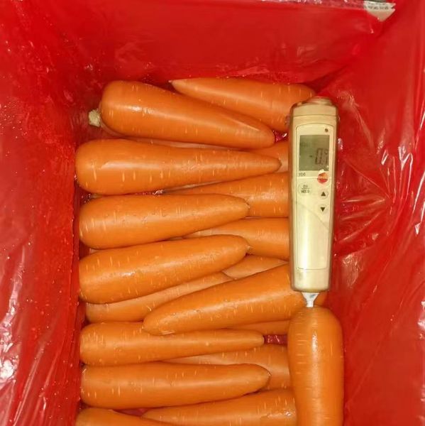 carrot from 중국 supplied by 深圳市久伴供应链管理中心 - Orange 신선 당근