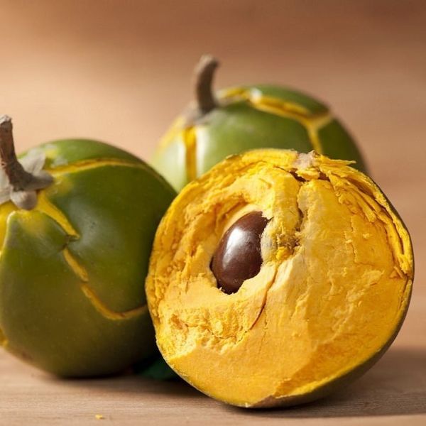 Lucuma from 페루 supplied by AGROINDUSTRIAS PRODOTTI DEL PAIS SAC - Non-GMO 루쿠마
